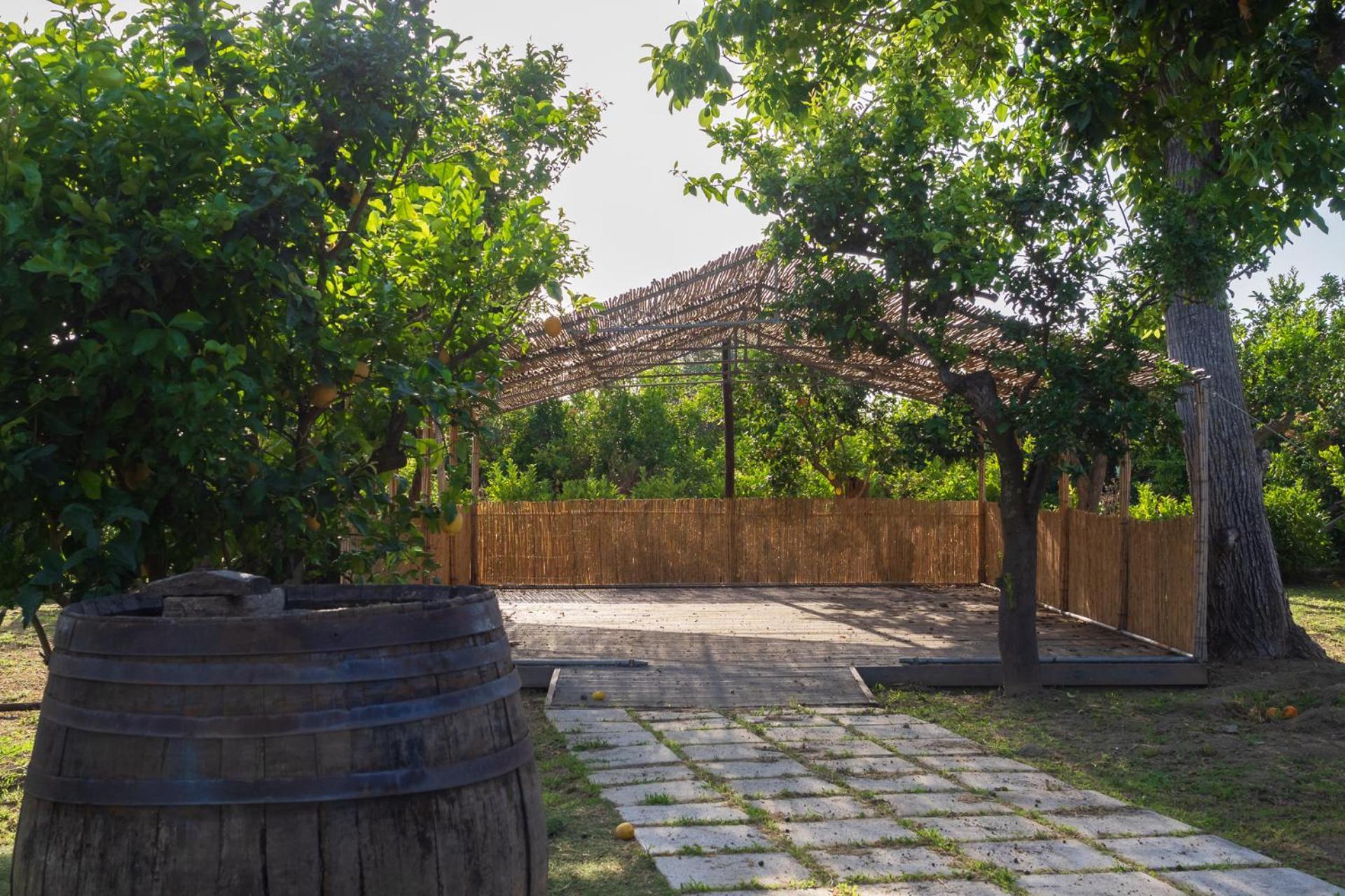 皮雅诺迪索伦托Giardino Di Nonno Lucio - Surrounded By Lemon Tree别墅 外观 照片